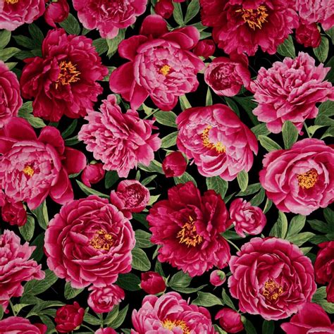 floral peony|peony floral fabric.